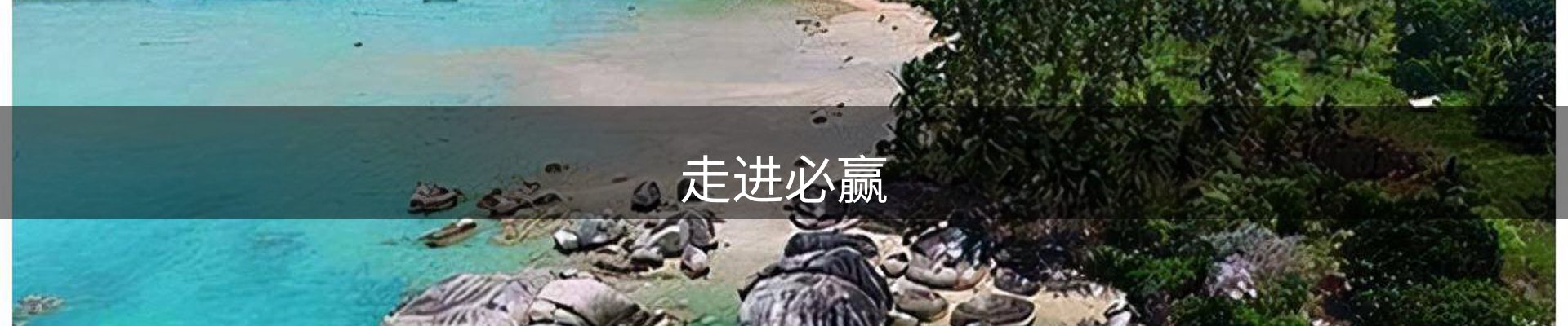 走进必赢
